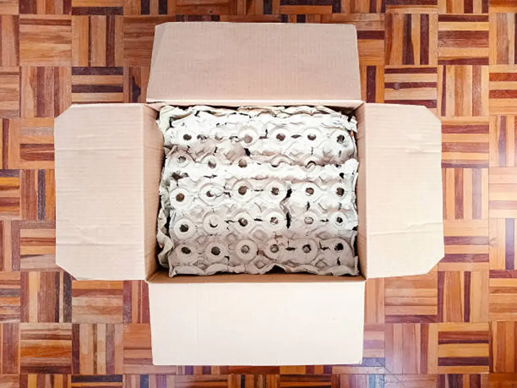 Corrugated Box vs. Carton Box Key Differences-cover