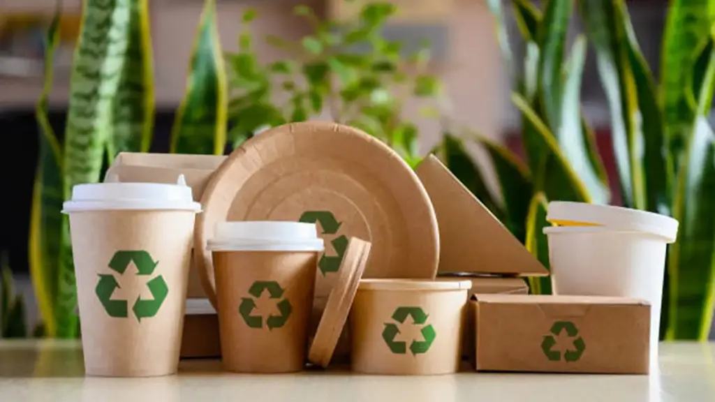 Corrugated Box vs. Carton Box-sustainablity