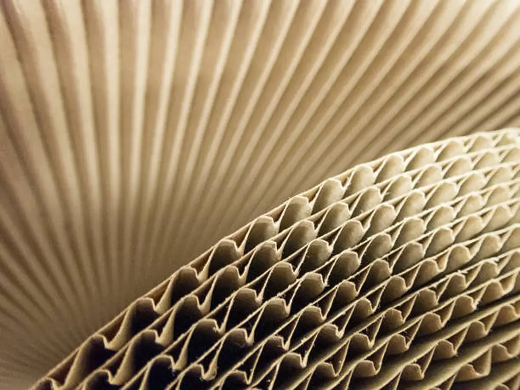 Flute Types in Corrugated Boxes-cover