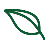 FSC Paper Options